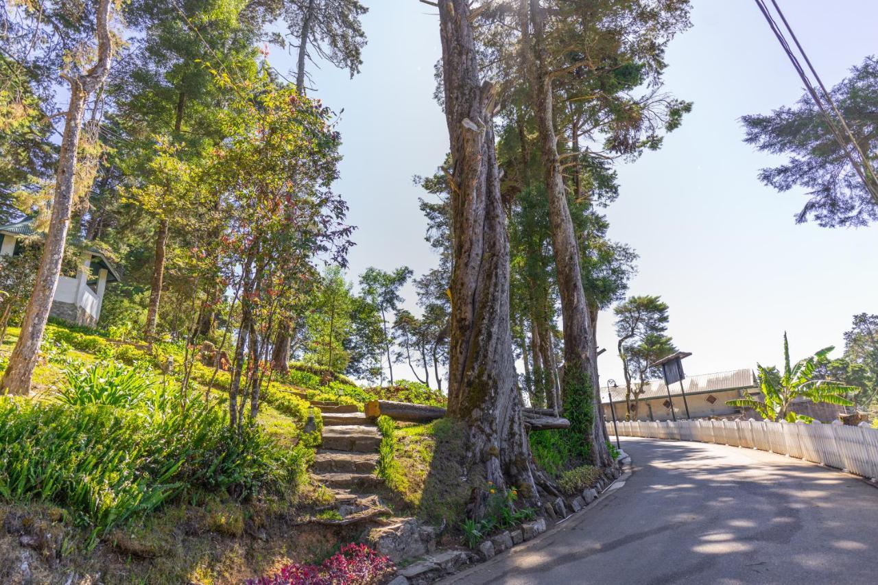 נוארה אליה Mirage Kings Cottage מראה חיצוני תמונה