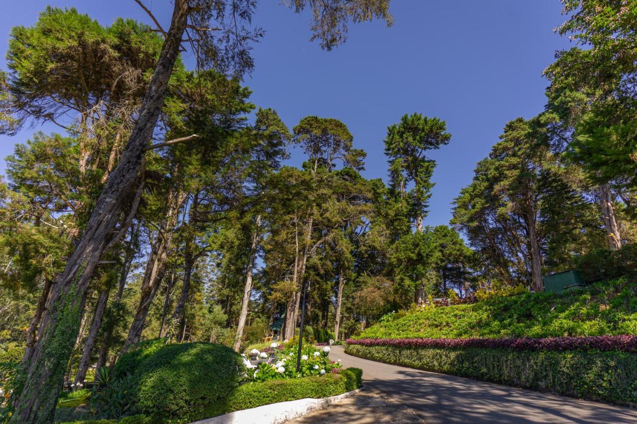 נוארה אליה Mirage Kings Cottage מראה חיצוני תמונה