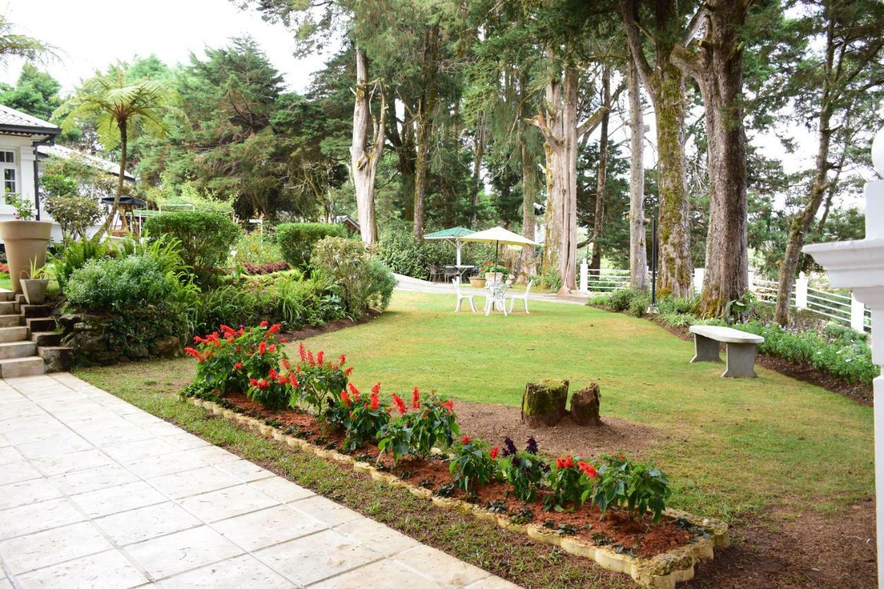 נוארה אליה Mirage Kings Cottage מראה חיצוני תמונה