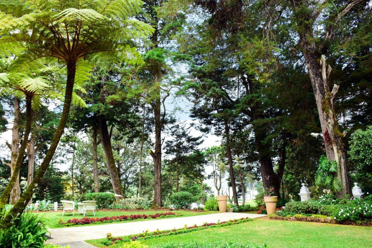 נוארה אליה Mirage Kings Cottage מראה חיצוני תמונה
